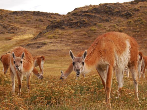 Patagonia small group holiday, off the beaten track