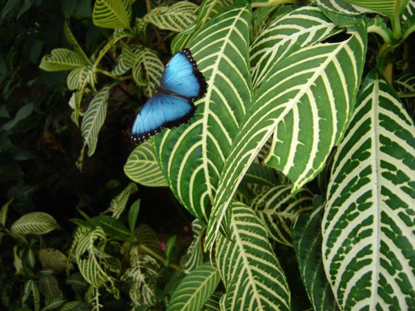 Costa Rica holiday, natural highlights