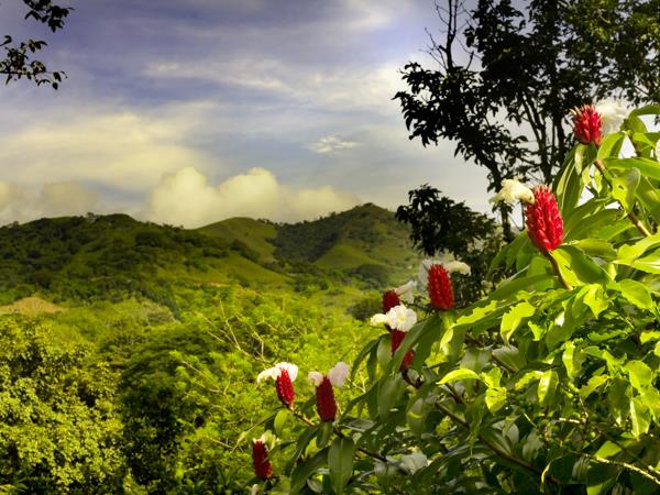 Costa Rica holiday, natural highlights