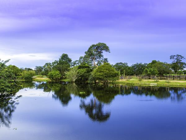 Rio to Iguazu Falls tour in Brazil