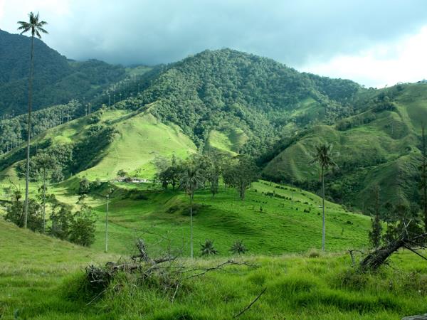 Off the beaten track holiday to Colombia
