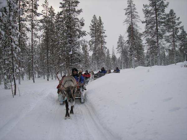 Tailor made holiday in Lapland