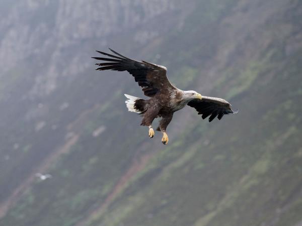 Hebrides cruise, Mull, Islay, Luing, Shuna and Jura