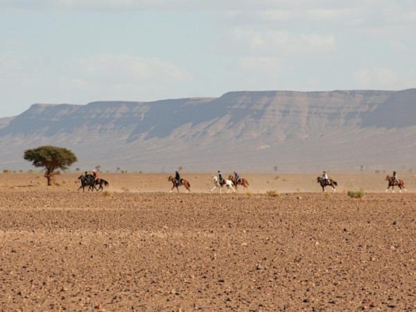 Sahara desert horse riding holiday