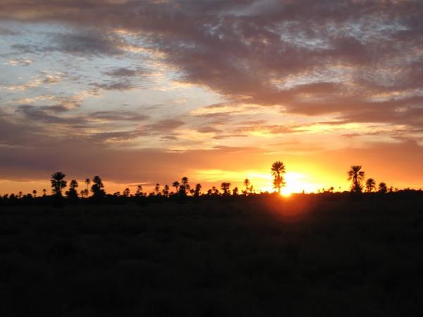 Sahara desert horse riding holiday