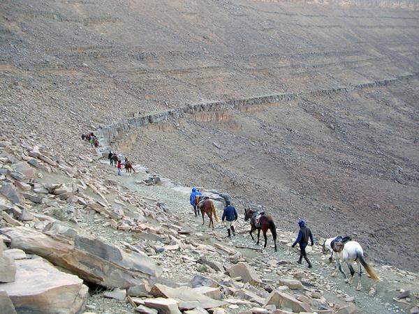 Sahara desert horse riding holiday