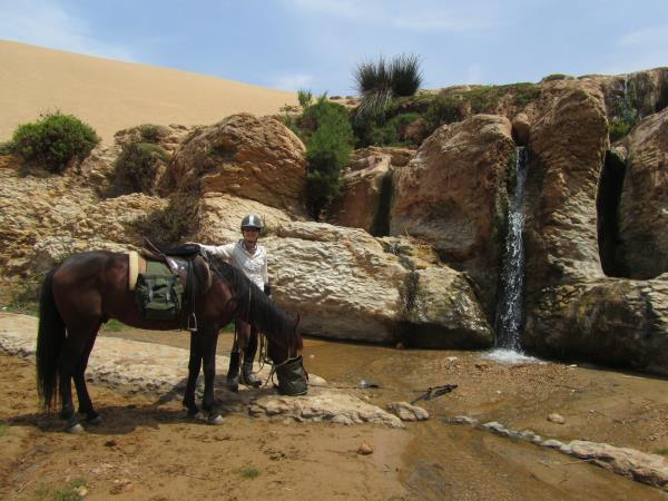 Sahara desert horse riding holiday