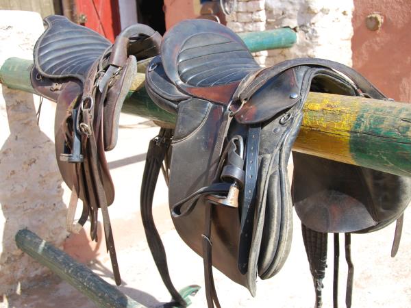 Sahara desert horse riding holiday