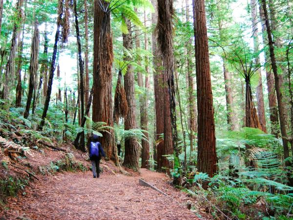 Complete tour of New Zealand