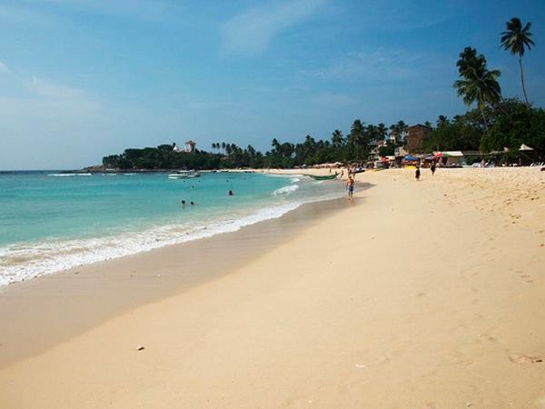 Sri Lanka birding & cultural tour