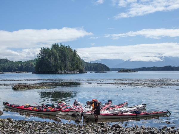 Kayak with orcas holiday in Canada