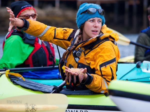 Kayak with orcas holiday in Canada