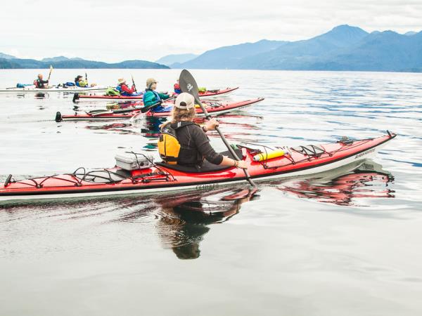 Kayak with orcas holiday in Canada