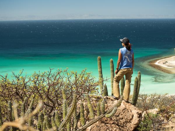 Baja sea kayak adventure in Mexico