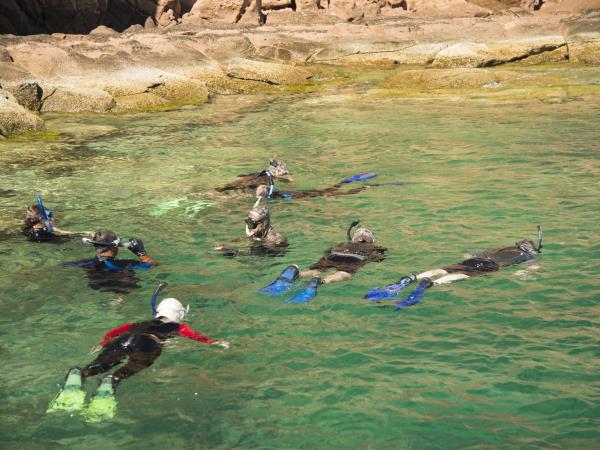 Baja sea kayak adventure in Mexico