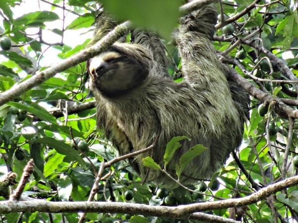 Costa Rica holiday, off the beaten track