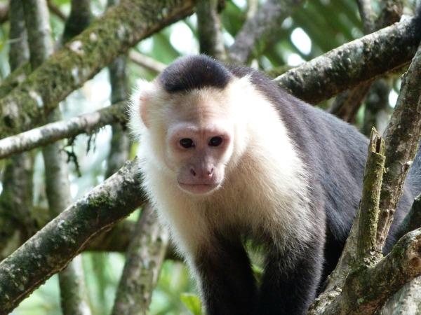 Costa Rica holiday, off the beaten track