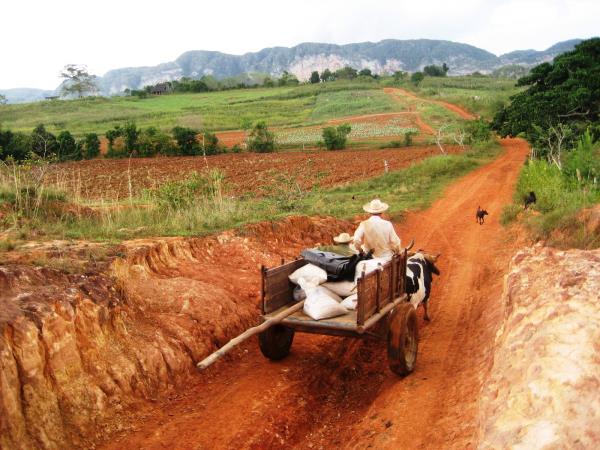 Cuba highlights holiday
