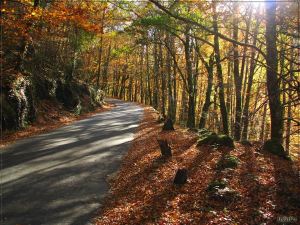 Family cycling holiday in Portugal, 5 days