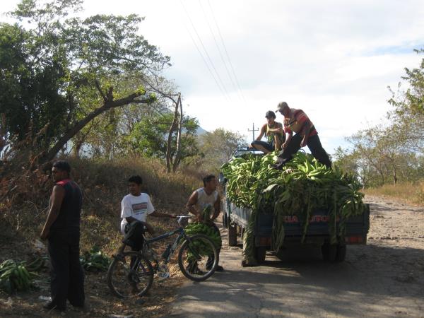 Nicaragua holiday, Cobbled Streets to Coral Reefs