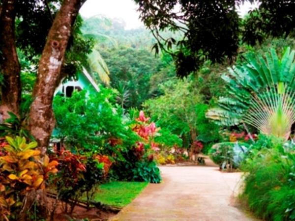 Dominica self catering cottages in Marigot