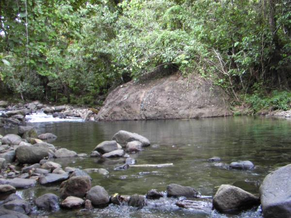 Dominica ecolodge holiday