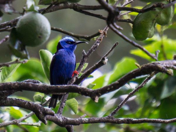 Costa Rica and Panama holiday