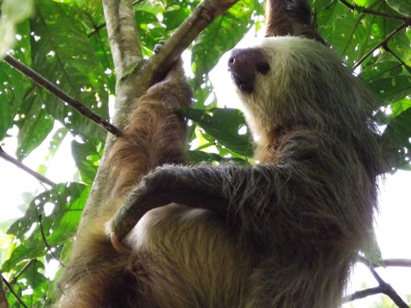 Costa Rica and Panama holiday