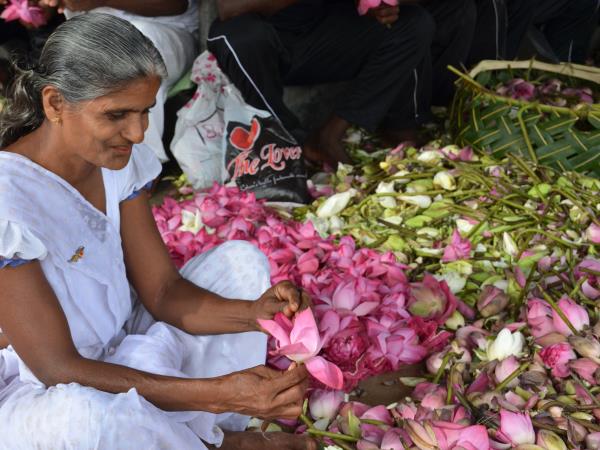 Sri Lanka tour, off the beaten track