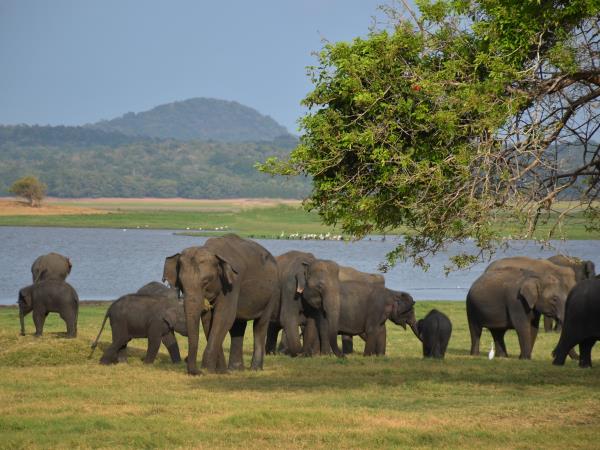 Sri Lanka tour, off the beaten track