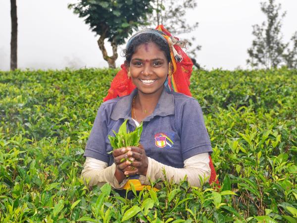Sri Lanka tour, off the beaten track