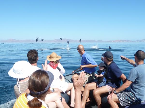 Baja and the Sea of Cortez adventure cruises, Mexico