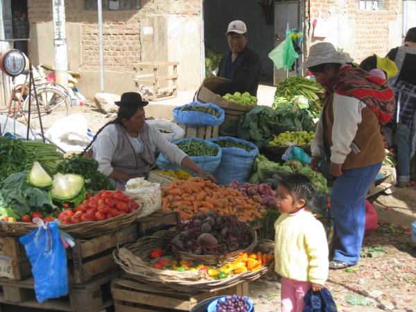 A taste of Peru holiday, 14 days