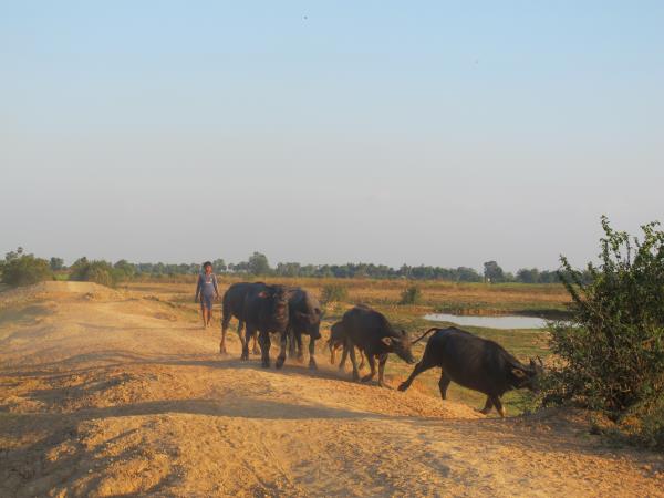 Cambodia holiday, ancient ruins and beaches