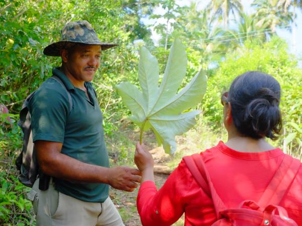Cuba highlights and beach holiday