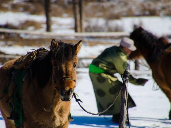 Mongolia tour, winter landscapes and Khovsgol ice festival