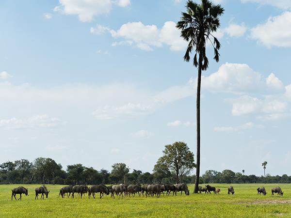 Zimbabwe riding holiday