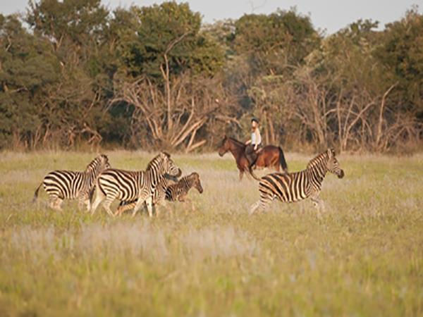 Zimbabwe riding holiday