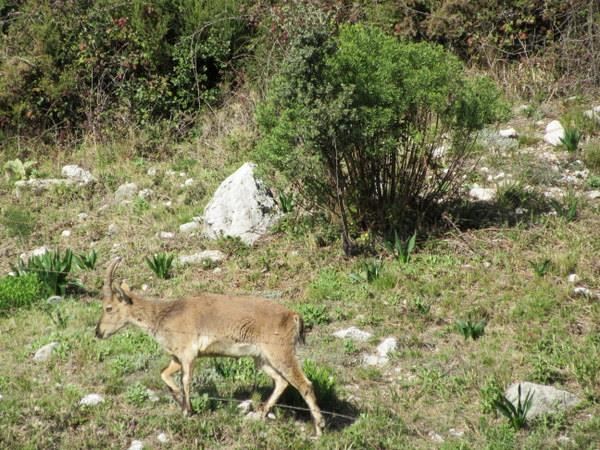Walking holidays in Grazalema, Andalucia, Spain
