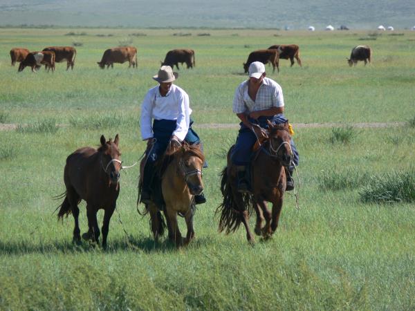 Mongolia tour, mountains & nomads
