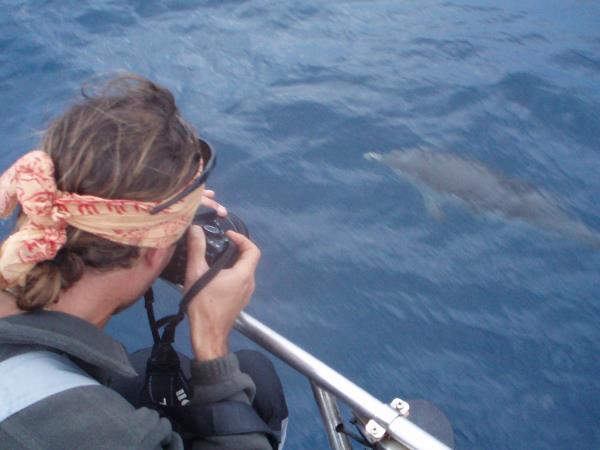 Sailing & conservation holiday in Greece
