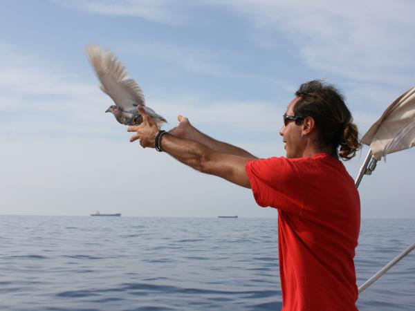 Sailing & conservation holiday in Greece