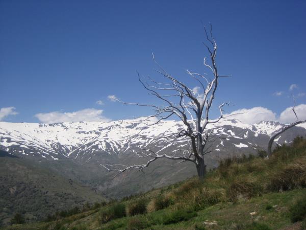 Las Alpujarras walking holiday, Spain
