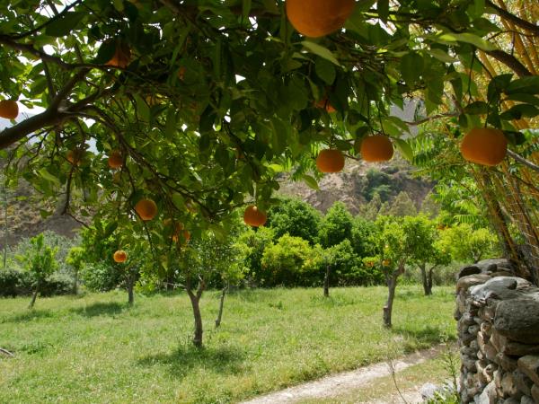 Las Alpujarras walking holiday, Spain