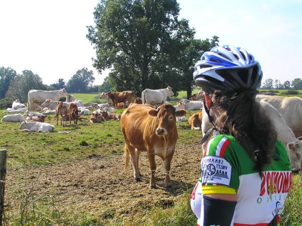 France self guided challenging cycling holiday