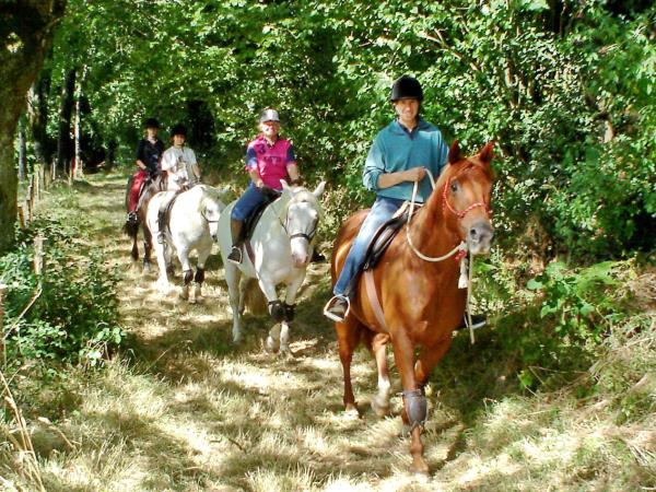 Horse riding holiday in France
