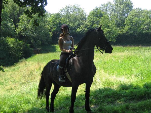 Horse riding holiday in France