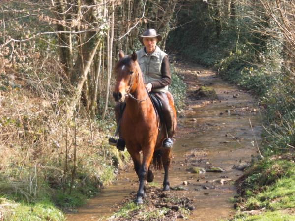 Horse riding holiday in France
