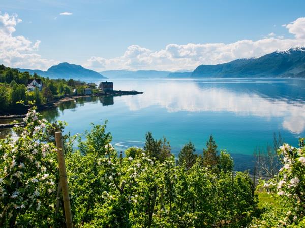 Norway self guided cycling holiday, Hardangerfjord