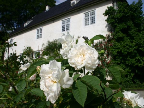 Norway self guided cycling holiday, Hardangerfjord